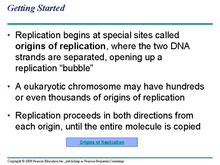 Getting Started • Replication begins at special sites called origins of replication, where the