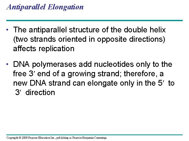 Antiparallel Elongation • The antiparallel structure of the double helix (two strands oriented in