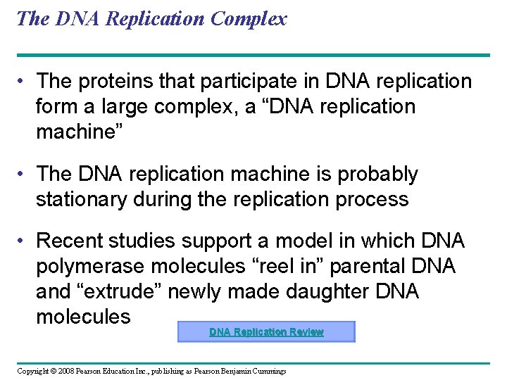 The DNA Replication Complex • The proteins that participate in DNA replication form a