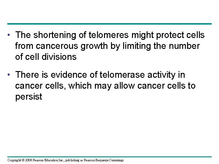  • The shortening of telomeres might protect cells from cancerous growth by limiting