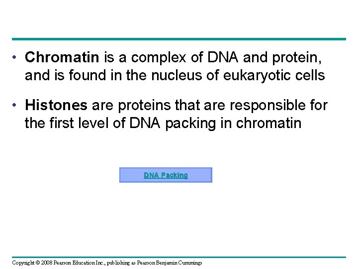  • Chromatin is a complex of DNA and protein, and is found in