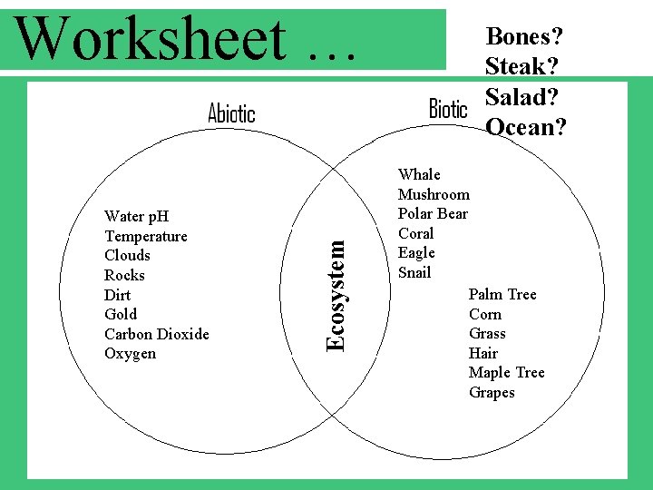 Water p. H Temperature Clouds Rocks Dirt Gold Carbon Dioxide Oxygen Ecosystem Worksheet …