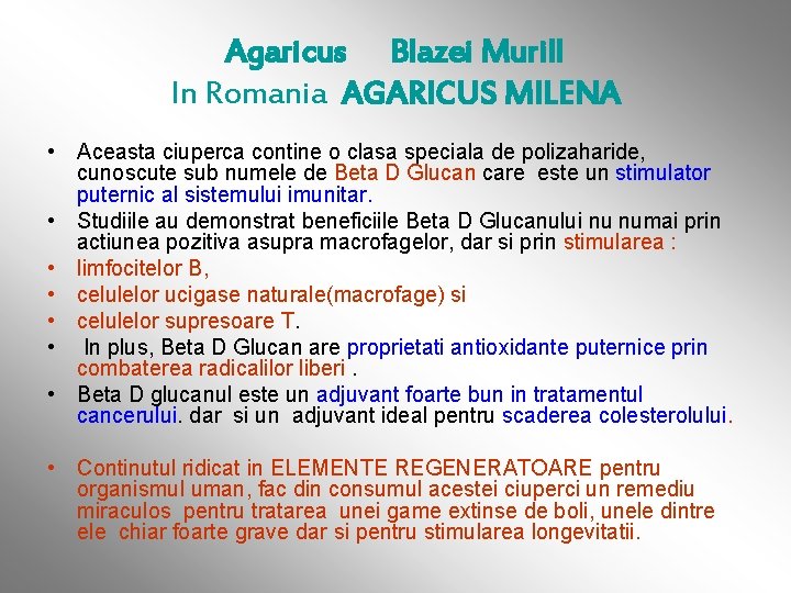 Agaricus Blazei Murill In Romania AGARICUS MILENA • Aceasta ciuperca contine o clasa speciala