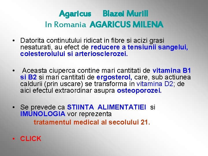 Agaricus Blazei Murill In Romania AGARICUS MILENA • Datorita continutului ridicat in fibre si