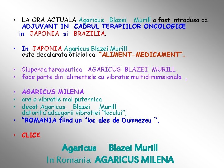  • LA ORA ACTUALA Agaricus Blazei Murill a fost introdusa ca ADJUVANT IN