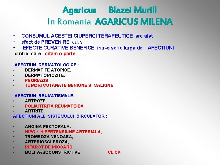 Agaricus Blazei Murill In Romania AGARICUS MILENA • CONSUMUL ACESTEI CIUPERCI TERAPEUTICE are atat