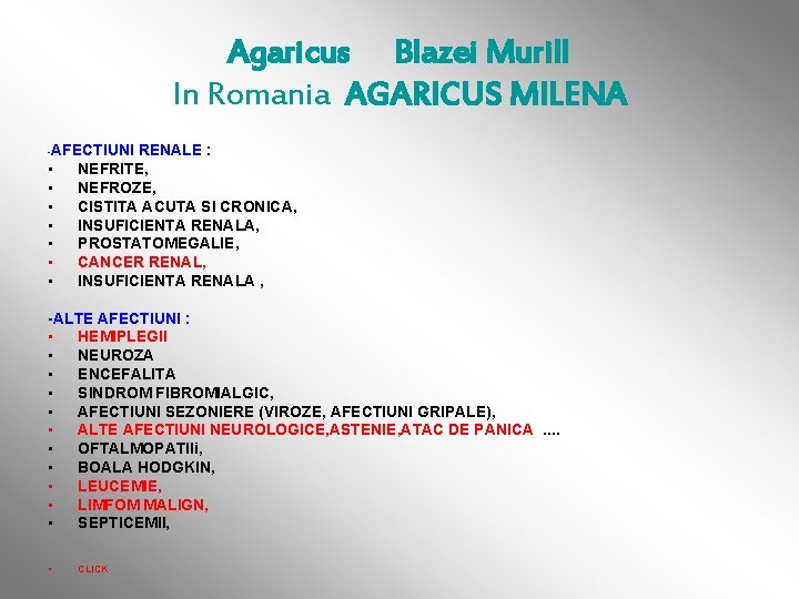 Agaricus Blazei Murill In Romania AGARICUS MILENA -AFECTIUNI RENALE : • • NEFRITE, NEFROZE,