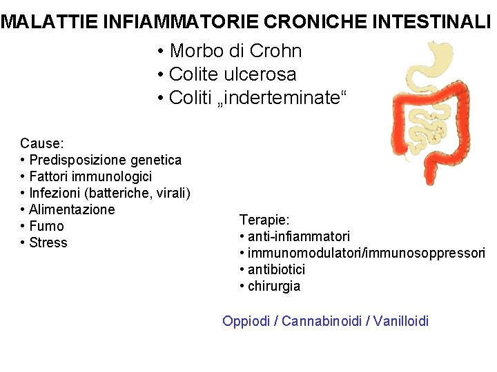 MALATTIE INFIAMMATORIE CRONICHE INTESTINALI • Morbo di Crohn • Colite ulcerosa • Coliti „inderteminate“