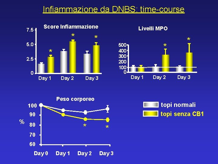 Infiammazione da DNBS: time-course Score Infiammazione 7. 5 * Livelli MPO * 5. 0