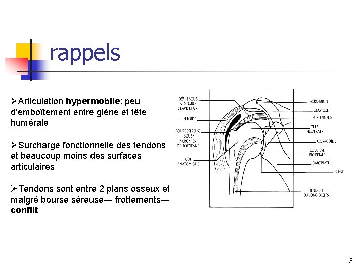 rappels ØArticulation hypermobile: peu d’emboîtement entre glène et tête humérale ØSurcharge fonctionnelle des tendons