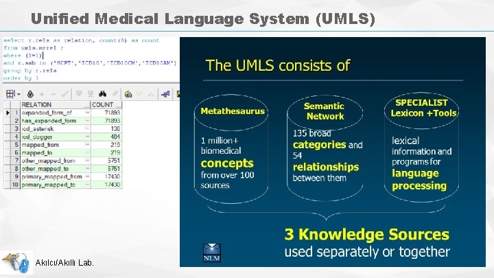 Unified Medical Language System (UMLS) Akılcı/Akıllı Lab. 