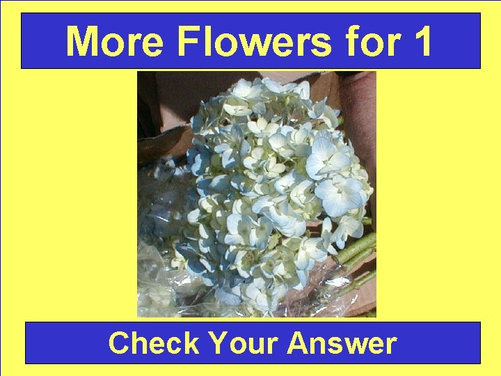 More Flowers for 1 Check Your Answer 