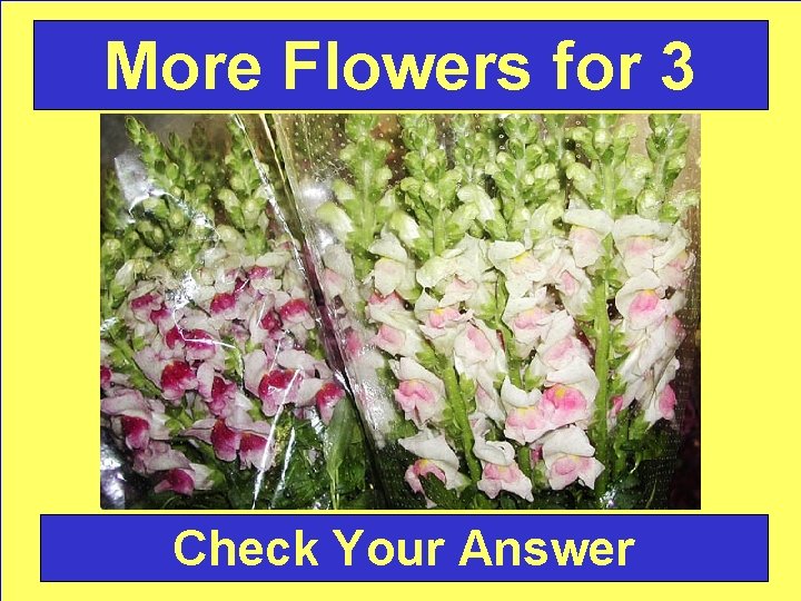 More Flowers for 3 Check Your Answer 