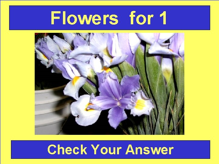 Flowers for 1 Check Your Answer 
