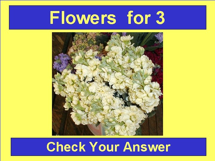 Flowers for 3 Check Your Answer 