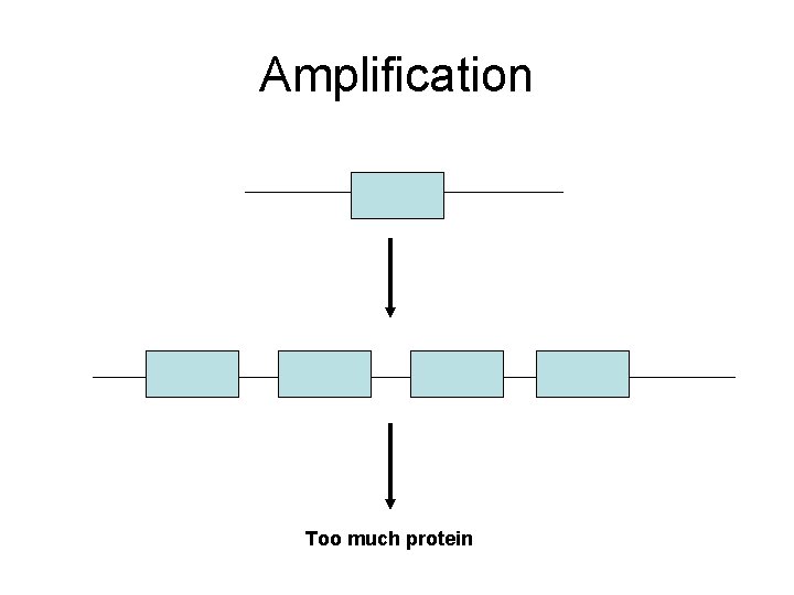 Amplification Too much protein 