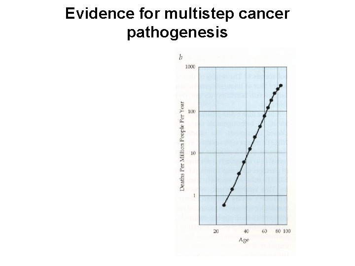 Evidence for multistep cancer pathogenesis 