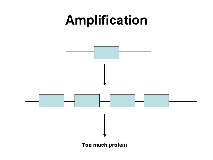 Amplification Too much protein 