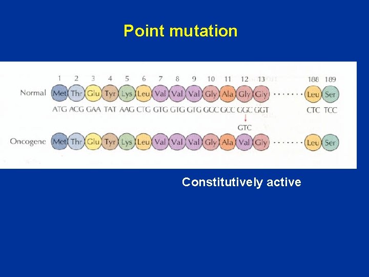 Point mutation Constitutively active 