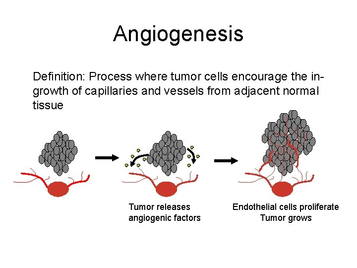 Angiogenesis Definition: Process where tumor cells encourage the ingrowth of capillaries and vessels from