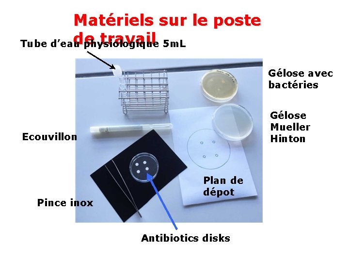 Matériels sur le poste de travail 5 m. L Tube d’eau physiologique Gélose avec