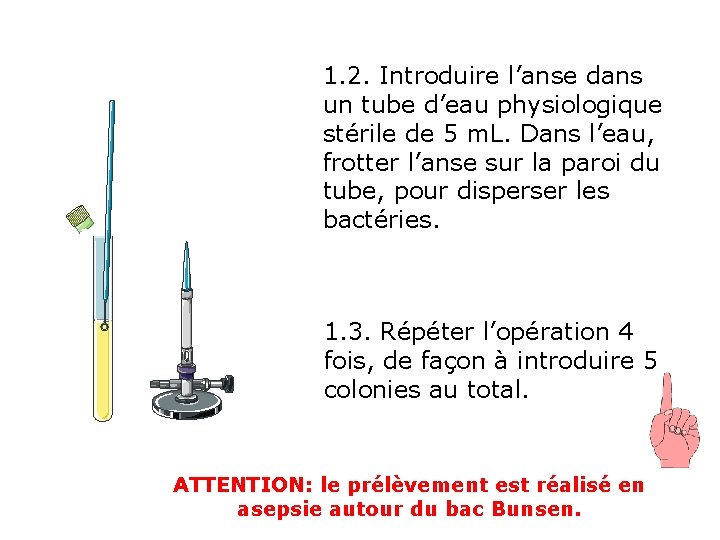 1. 2. Introduire l’anse dans un tube d’eau physiologique stérile de 5 m. L.