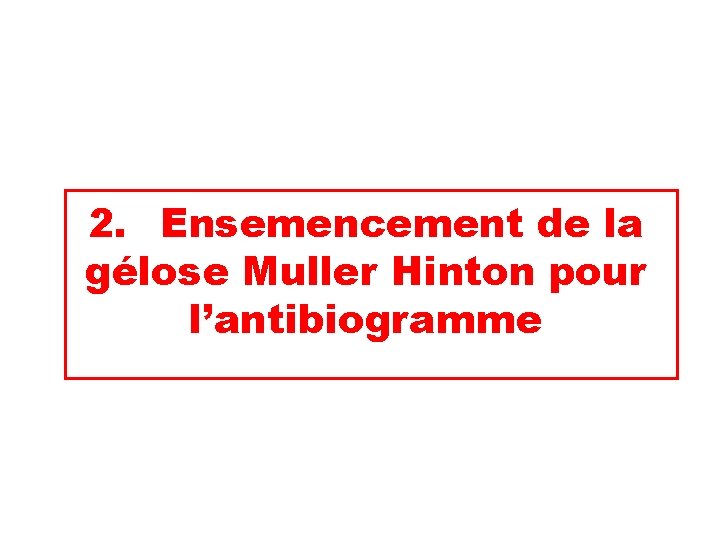 2. Ensemencement de la gélose Muller Hinton pour l’antibiogramme 
