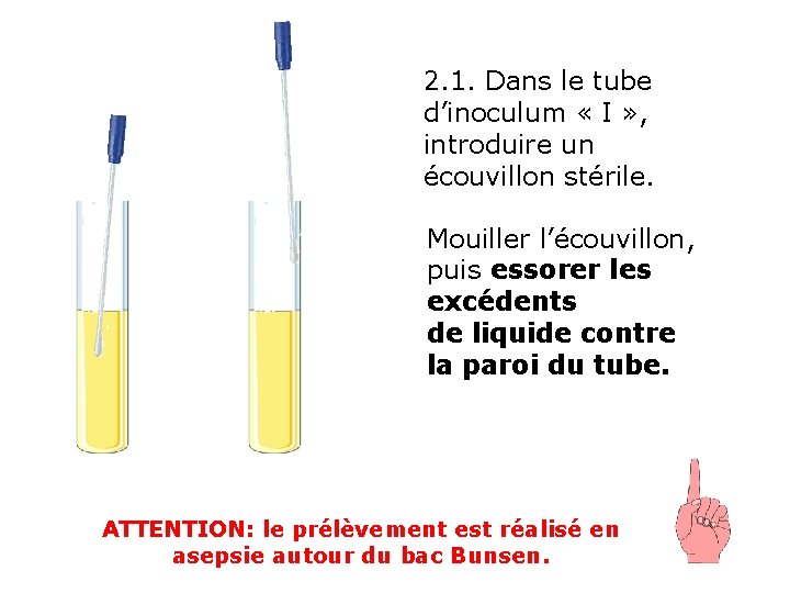 2. 1. Dans le tube d’inoculum « I » , introduire un écouvillon stérile.