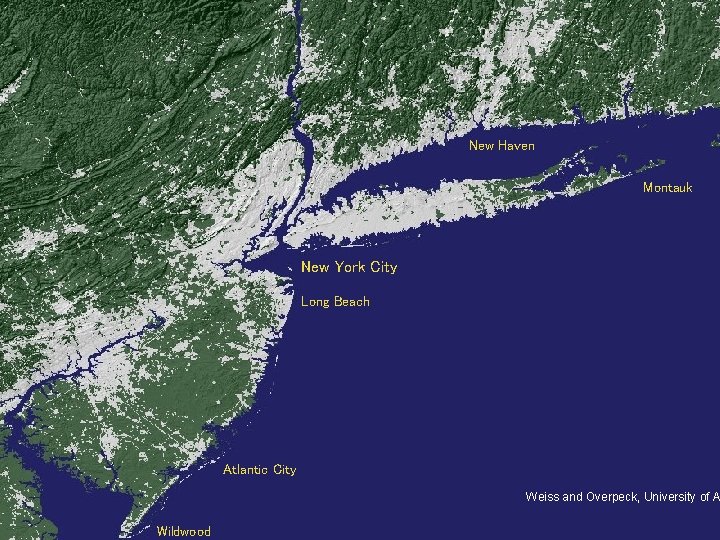 New Haven Montauk New York City Long Beach Atlantic City Weiss and Overpeck, University