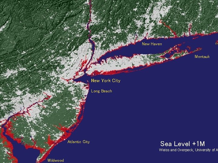 New Haven Montauk New York City Long Beach Atlantic City Sea Level +1 M