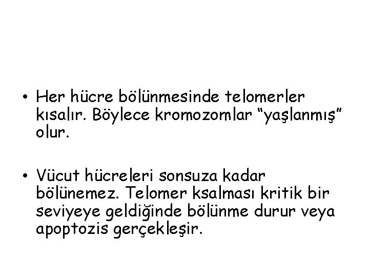  • Her hücre bölünmesinde telomerler kısalır. Böylece kromozomlar “yaşlanmış” olur. • Vücut hücreleri