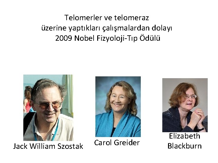 Telomerler ve telomeraz üzerine yaptıkları çalışmalardan dolayı 2009 Nobel Fizyoloji-Tıp Ödülü Jack William Szostak