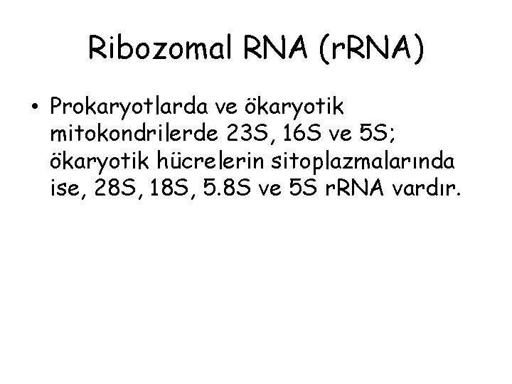 Ribozomal RNA (r. RNA) • Prokaryotlarda ve ökaryotik mitokondrilerde 23 S, 16 S ve