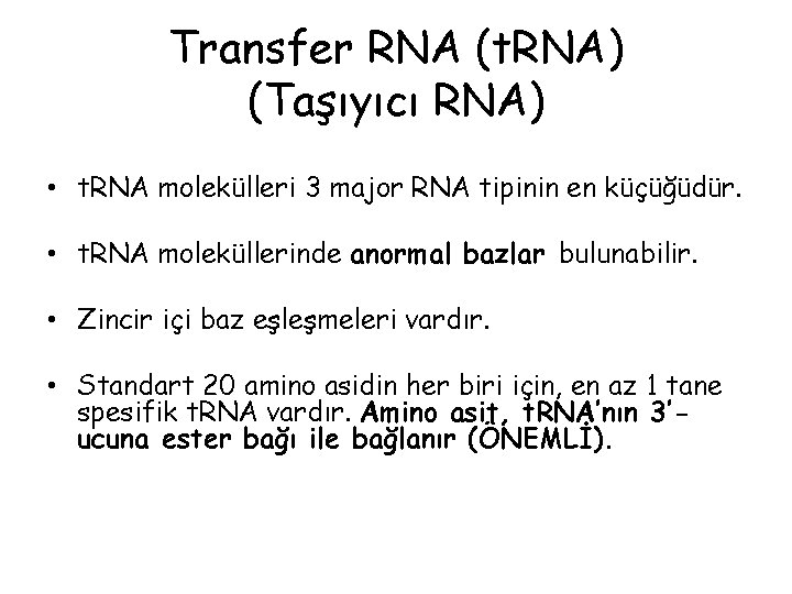 Transfer RNA (t. RNA) (Taşıyıcı RNA) • t. RNA molekülleri 3 major RNA tipinin