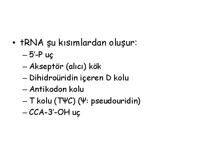  • t. RNA şu kısımlardan oluşur: – 5’-P uç – Akseptör (alıcı) kök