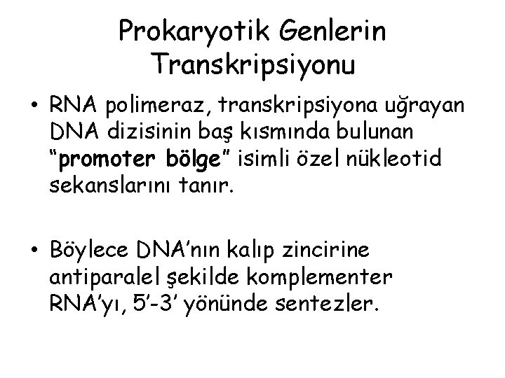 Prokaryotik Genlerin Transkripsiyonu • RNA polimeraz, transkripsiyona uğrayan DNA dizisinin baş kısmında bulunan “promoter