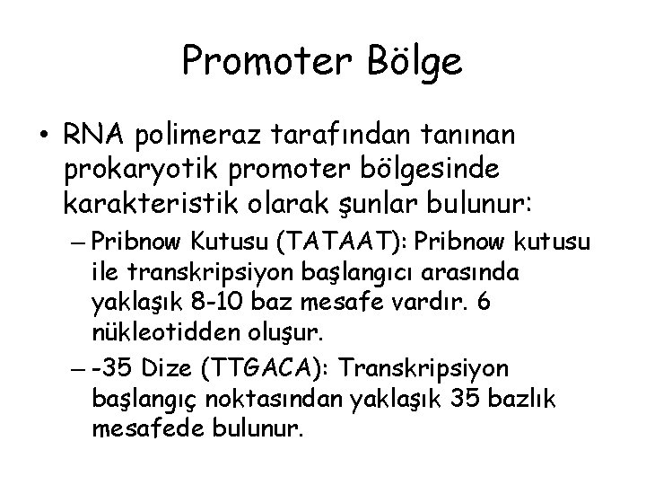 Promoter Bölge • RNA polimeraz tarafından tanınan prokaryotik promoter bölgesinde karakteristik olarak şunlar bulunur: