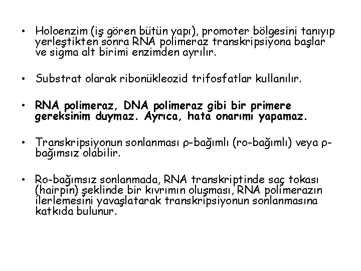  • Holoenzim (iş gören bütün yapı), promoter bölgesini tanıyıp yerleştikten sonra RNA polimeraz
