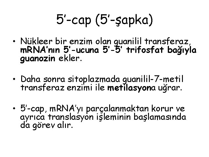 5’-cap (5’-şapka) • Nükleer bir enzim olan guanilil transferaz, m. RNA’nın 5’-ucuna 5’-5’ trifosfat