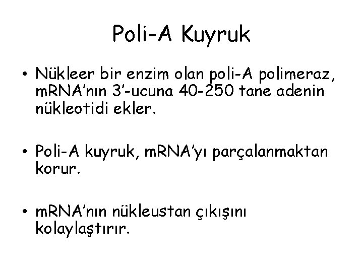 Poli-A Kuyruk • Nükleer bir enzim olan poli-A polimeraz, m. RNA’nın 3’-ucuna 40 -250