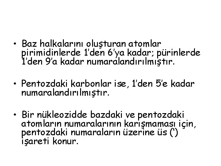  • Baz halkalarını oluşturan atomlar pirimidinlerde 1’den 6’ya kadar; pürinlerde 1’den 9’a kadar