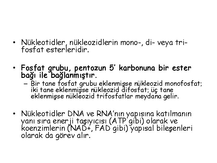  • Nükleotidler, nükleozidlerin mono-, di- veya trifosfat esterleridir. • Fosfat grubu, pentozun 5’