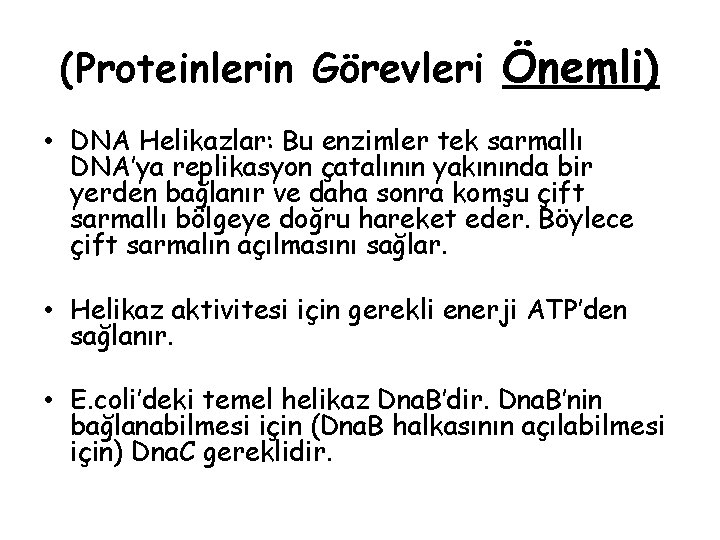 (Proteinlerin Görevleri Önemli) • DNA Helikazlar: Bu enzimler tek sarmallı DNA’ya replikasyon çatalının yakınında