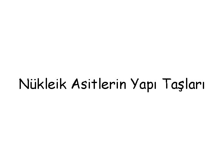 Nükleik Asitlerin Yapı Taşları 