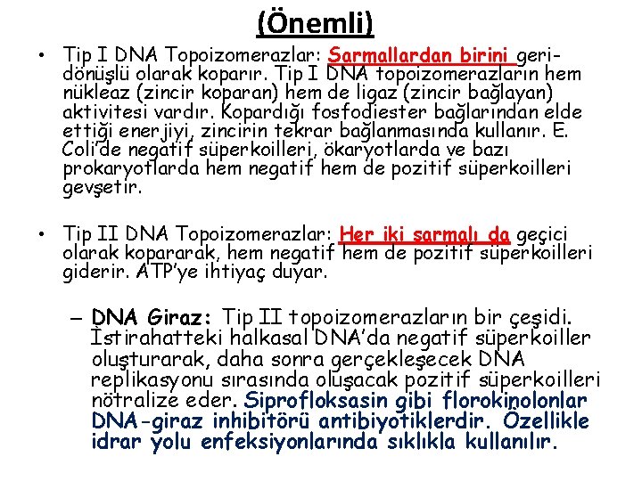(Önemli) • Tip I DNA Topoizomerazlar: Sarmallardan birini geridönüşlü olarak koparır. Tip I DNA