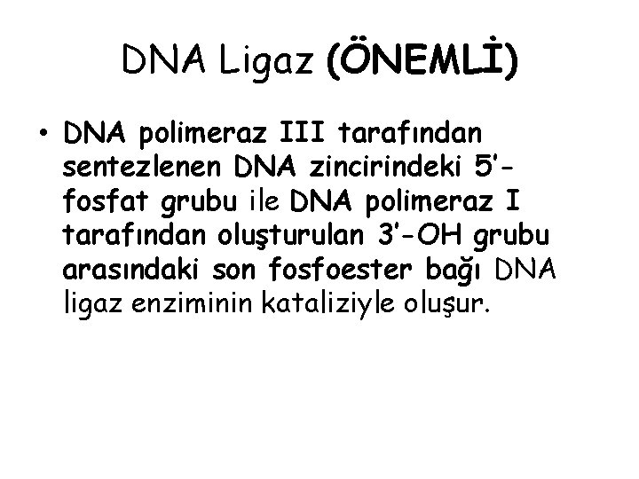 DNA Ligaz (ÖNEMLİ) • DNA polimeraz III tarafından sentezlenen DNA zincirindeki 5’fosfat grubu ile