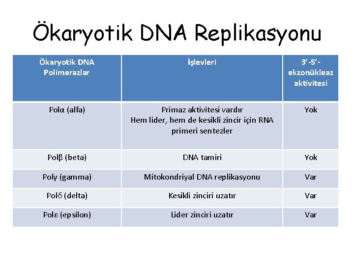 Ökaryotik DNA Replikasyonu Ökaryotik DNA Polimerazlar İşlevleri 3’-5’ekzonükleaz aktivitesi Polα (alfa) Primaz aktivitesi vardır