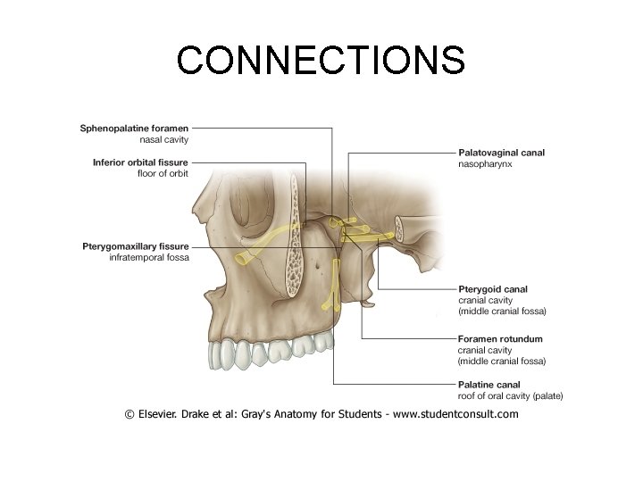 CONNECTIONS 