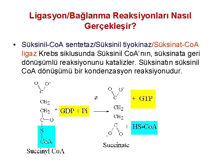 Ligasyon/Bağlanma Reaksiyonları Nasıl Gerçekleşir? • Süksinil-Co. A sentetaz/Süksinil tiyokinaz/Süksinat-Co. A ligaz Krebs siklusunda Süksinil