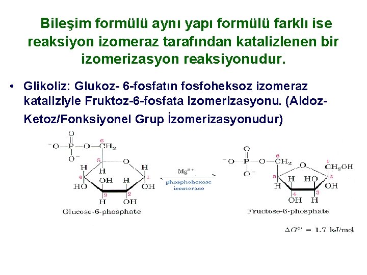 Bileşim formülü aynı yapı formülü farklı ise reaksiyon izomeraz tarafından katalizlenen bir izomerizasyon reaksiyonudur.